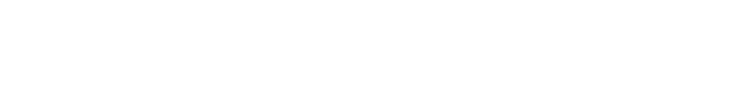 Best Online Leads Logo